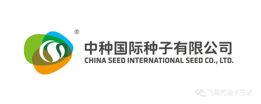 中种国际种子有限公司